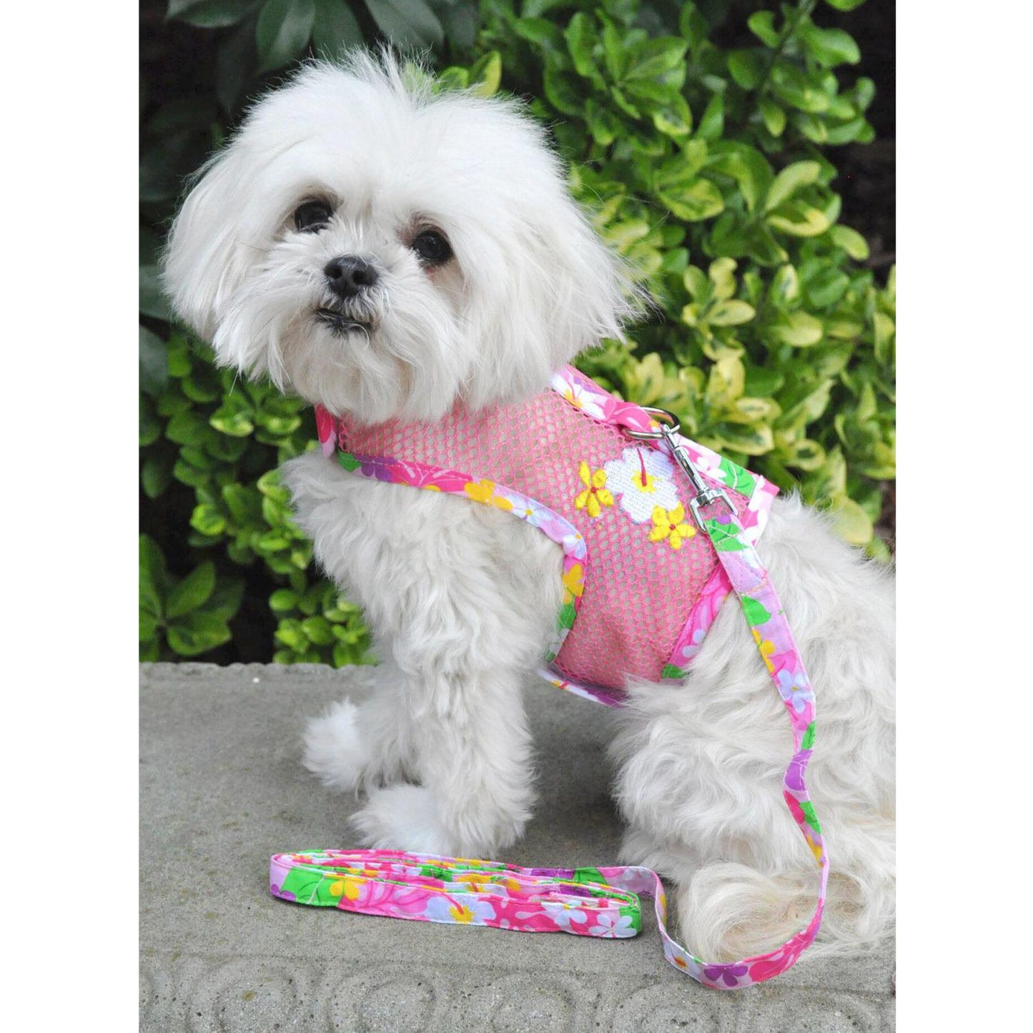 Cool Mesh Dog Harness with Leash - Pink Hawaiian Floral Design