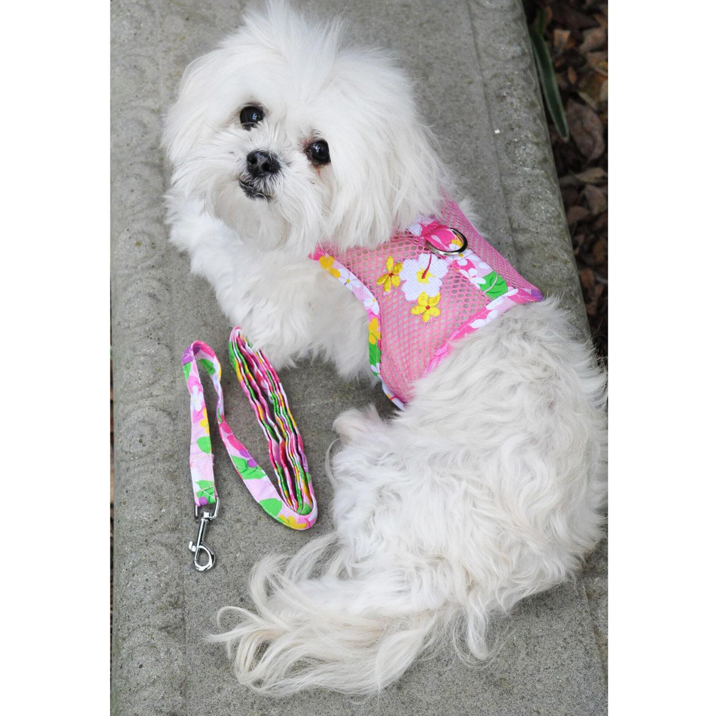 Cool Mesh Dog Harness with Leash - Pink Hawaiian Floral Design