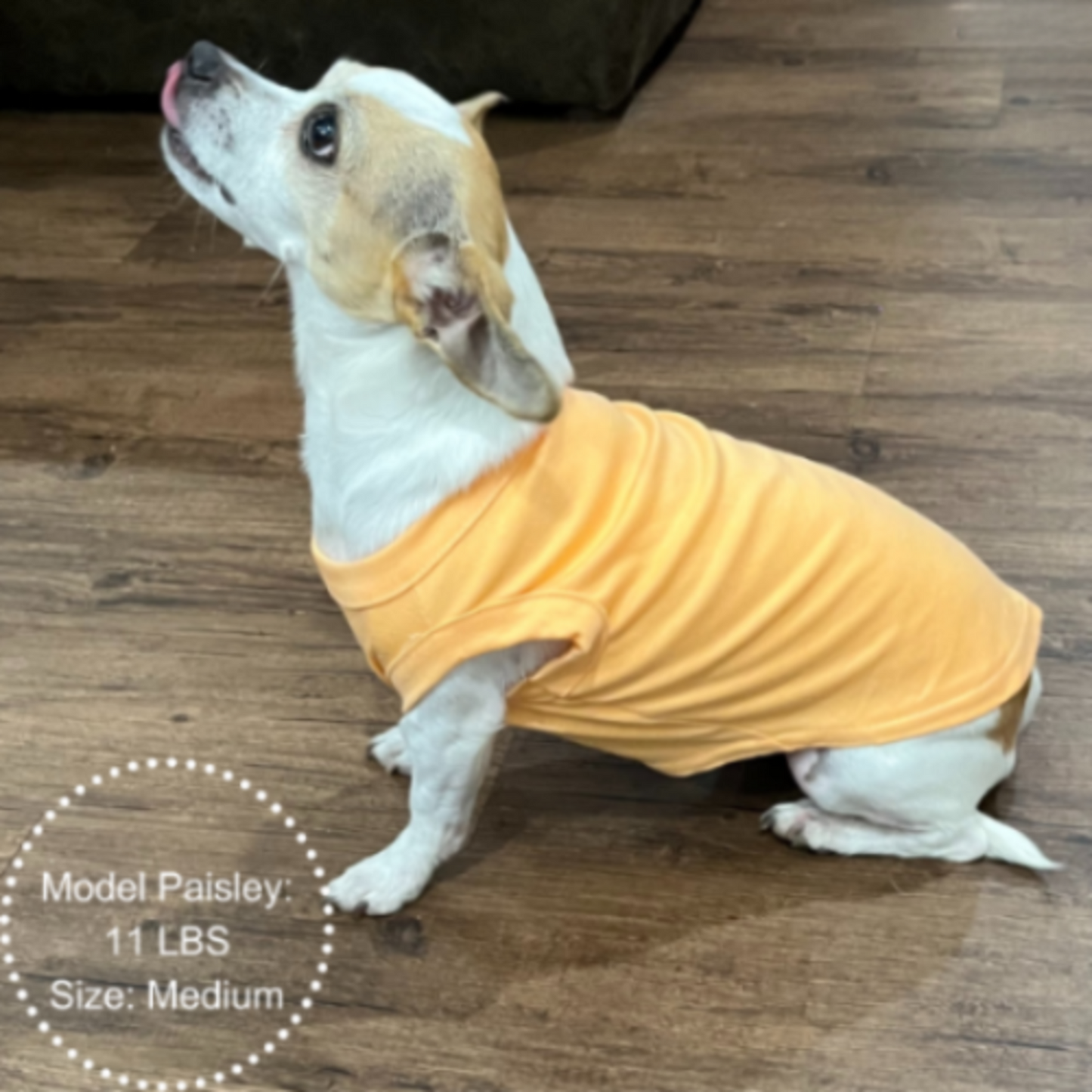 Customized Pet Shirt - Breathable Fabric, 3D Puffy Design for Dogs & Cats, 2X-6X