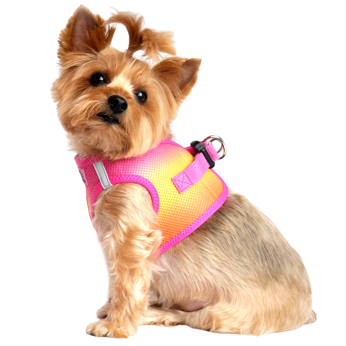 American River Choke Free Dog Harness, Ombre - Raspberry Pink and Orange