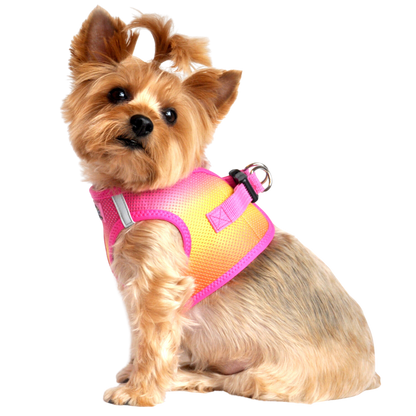 American River Choke Free Dog Harness, Ombre - Raspberry Pink and Orange