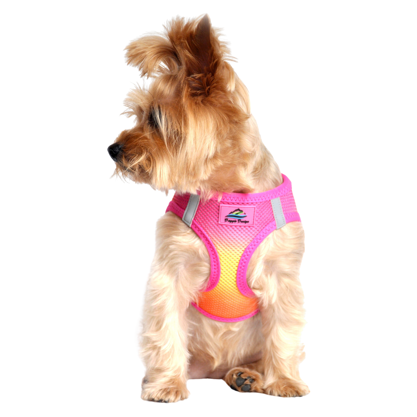 American River Choke Free Dog Harness, Ombre - Raspberry Pink and Orange