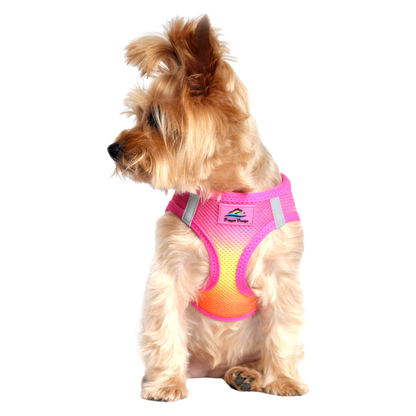 American River Choke Free Dog Harness, Ombre - Raspberry Pink and Orange