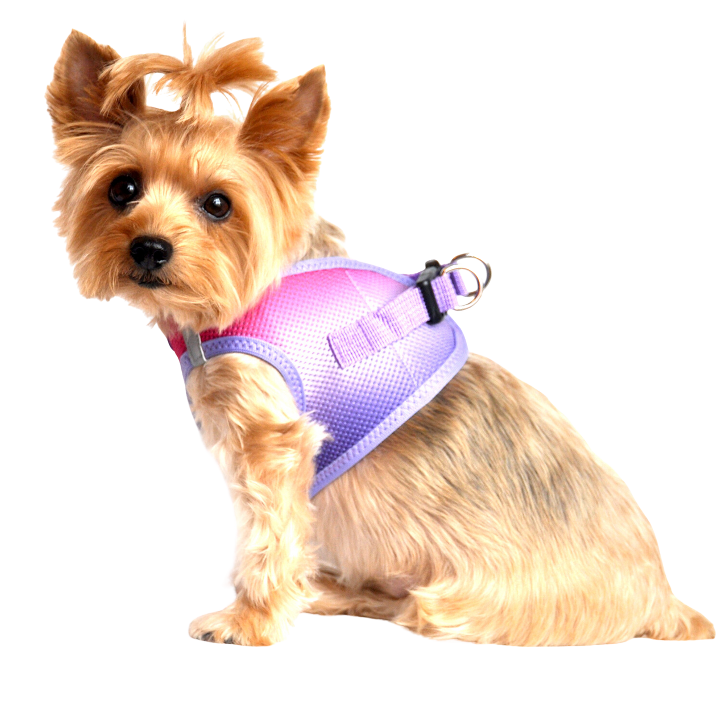 American River Choke Free Dog Harness, Ombre - Raspberry Sundae