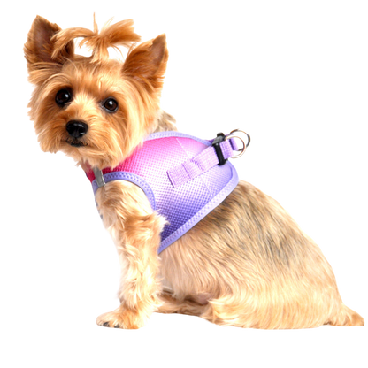 American River Choke Free Dog Harness, Ombre - Raspberry Sundae