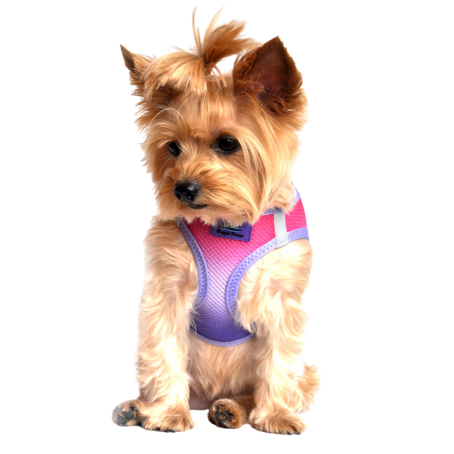 American River Choke Free Dog Harness, Ombre - Raspberry Sundae