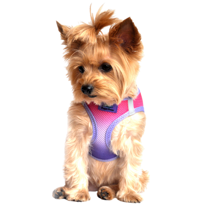 American River Choke Free Dog Harness, Ombre - Raspberry Sundae