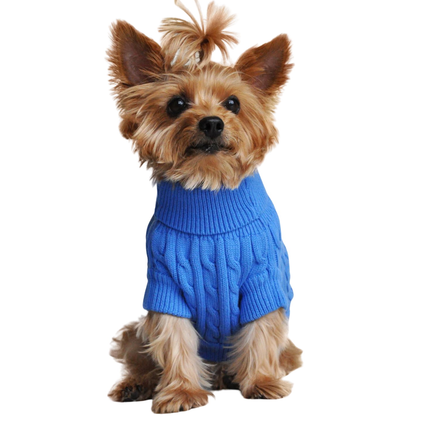 Combed Cotton Cable Knit Dog Sweater - Riverside Blue, Soft and Warm