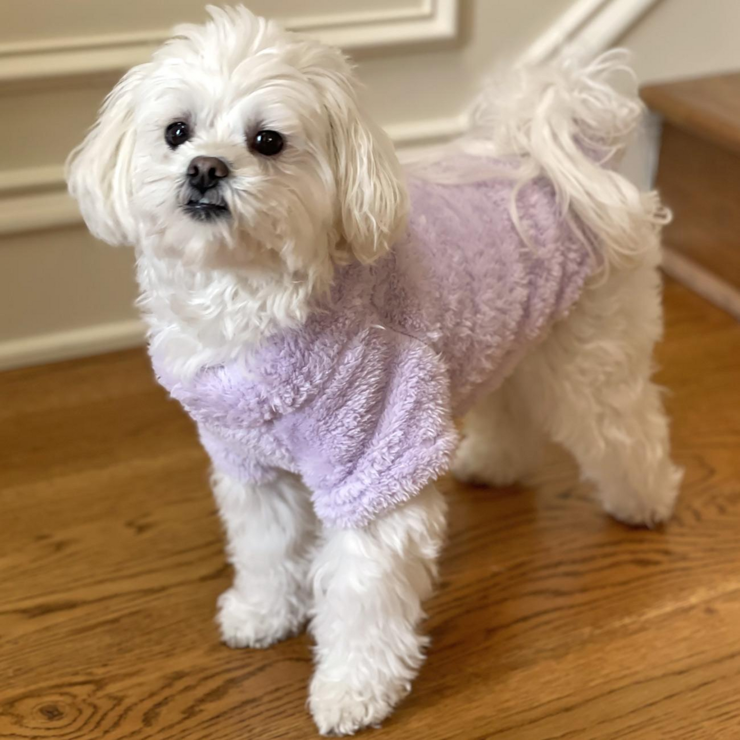 Soft Plush Pullover for Pets - Lavender | Cozy Dog & Cat Sweater