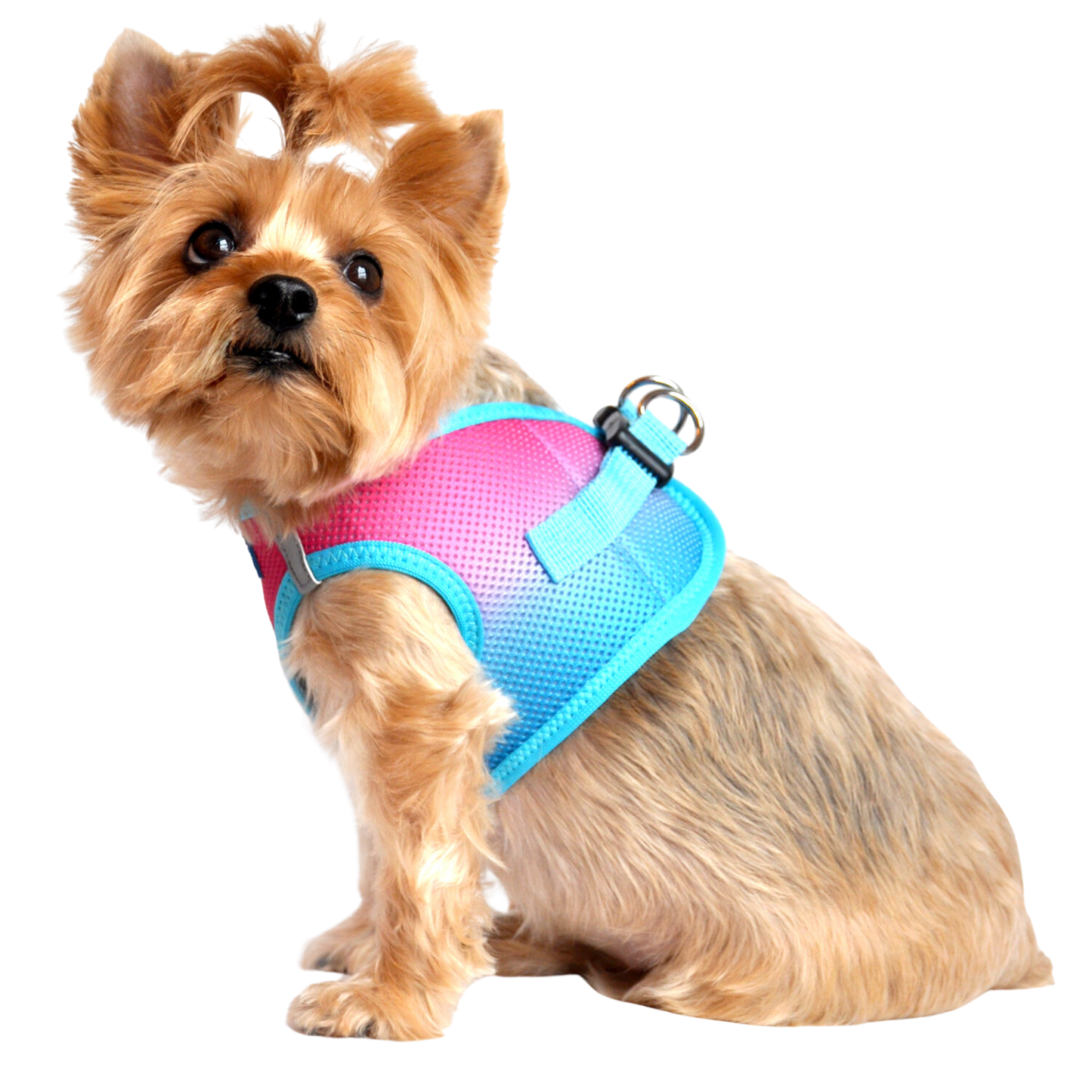 American River Choke Free Dog Harness, Ombre - Sugar Plum