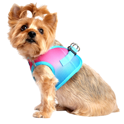 American River Choke Free Dog Harness, Ombre - Sugar Plum