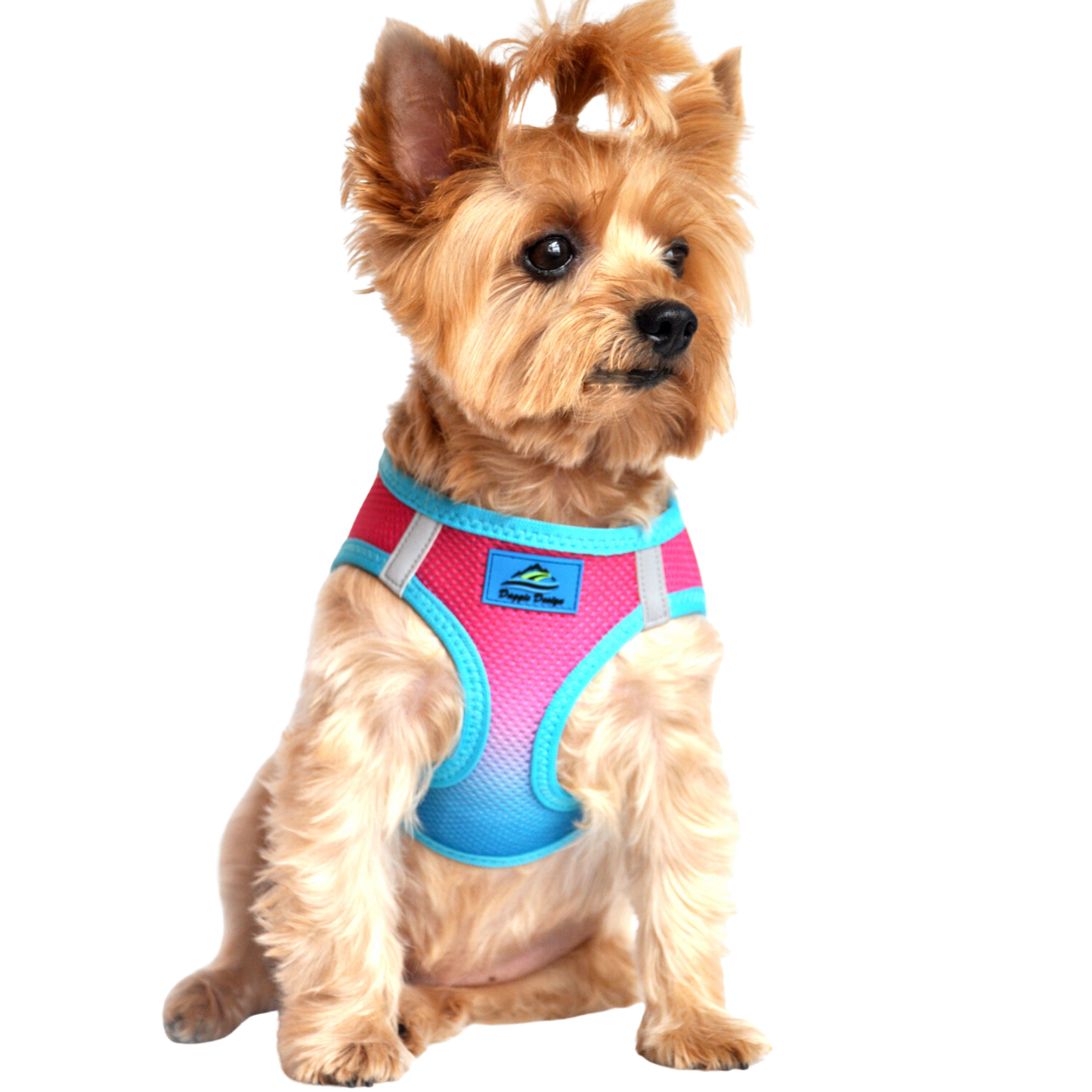 American River Choke Free Dog Harness, Ombre - Sugar Plum