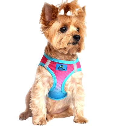 American River Choke Free Dog Harness, Ombre - Sugar Plum