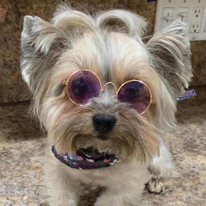 Luxury Pet Sunglasses for Small Dogs - Rose Gold Frame, Chic Dog Eyewear