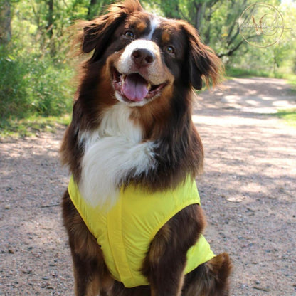 Chubasquero personalizado para perros con bolsillo: personalizable, impermeable y funcional