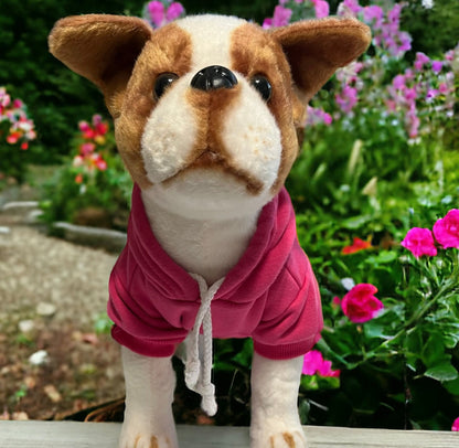 Sudadera con capucha para perro personalizada y acogedora: diseño con estampado 3D abullonado, mascota personalizada, tallas XS a XL