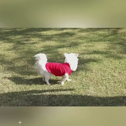 Camiseta para perros y gatos en blanco: ropa para mascotas de colores lisos y lisos, tallas XS a XL